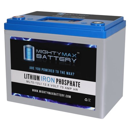 12V 75AH Lithium Battery Replacement for Wayne ESP25 Back-Up Pump -  MIGHTY MAX BATTERY, MAX3908939